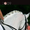 Czech Equestrian Federation Calendar 2009